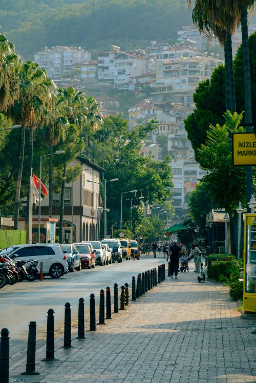 Free A vibrant street scene with palm trees, cars, and a city backdrop, perfect for urban lifestyle themes. Stock Photo