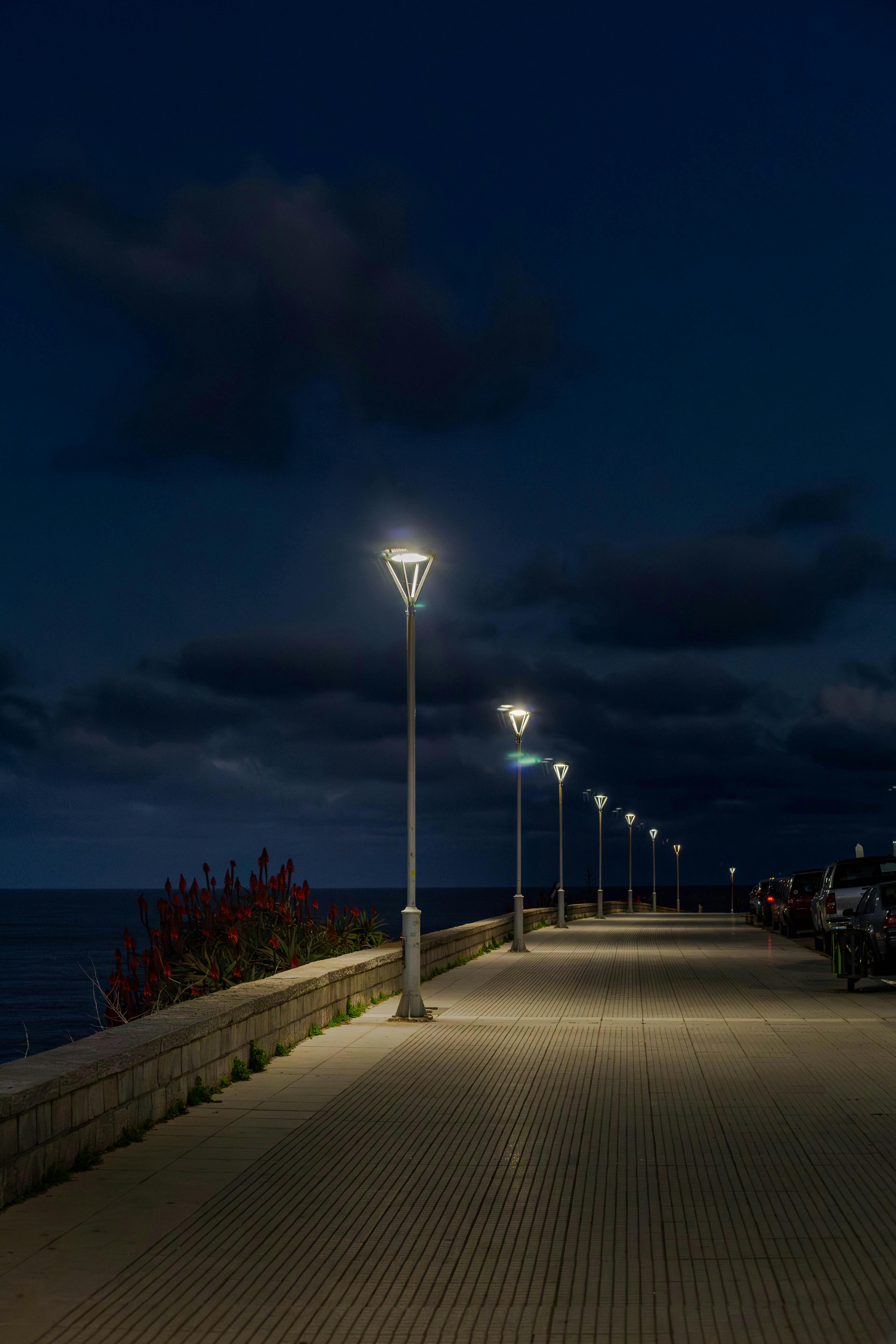 Peaceful street lamp-lit promenade along the Mar del Plata coast during nighttime.
