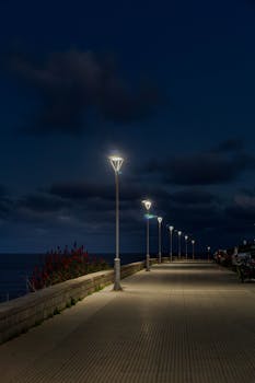 Peaceful street lamp-lit promenade along the Mar del Plata coast during nighttime.
