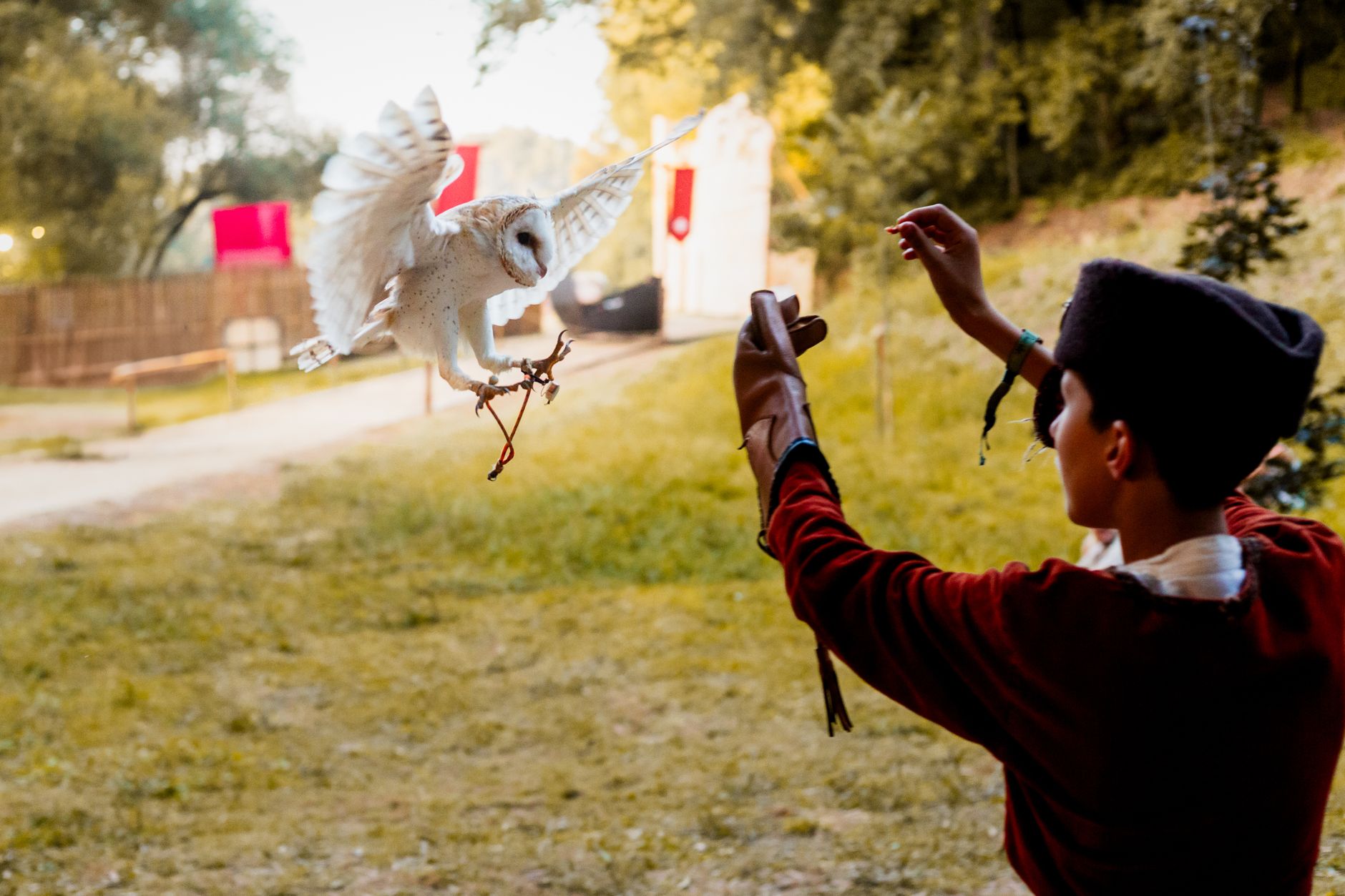 The Business of Falconry: Heritage Meets High Value Trade