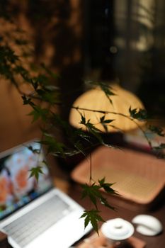 A warm, cozy workspace featuring a laptop, soft lighting, and green foliage, perfect for focus and creativity.
