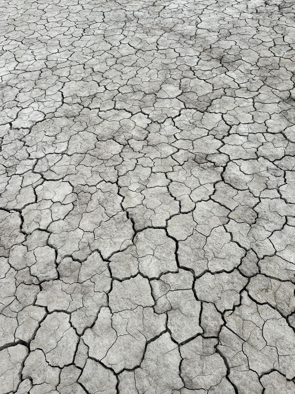 Maya Droughts: Lessons from the Past for a Climate-Changed Future