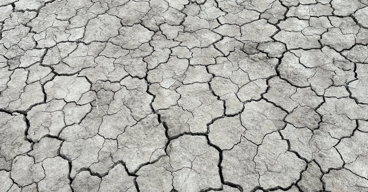 環境部國環院種子講師首度前進馬祖 攜手打造淨零綠生活新未來