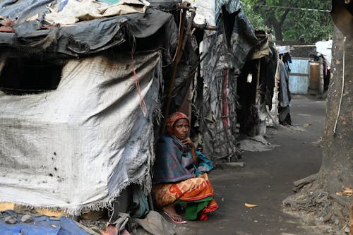 Foto d'estoc gratuïta de arbre, assegut, bangladesh