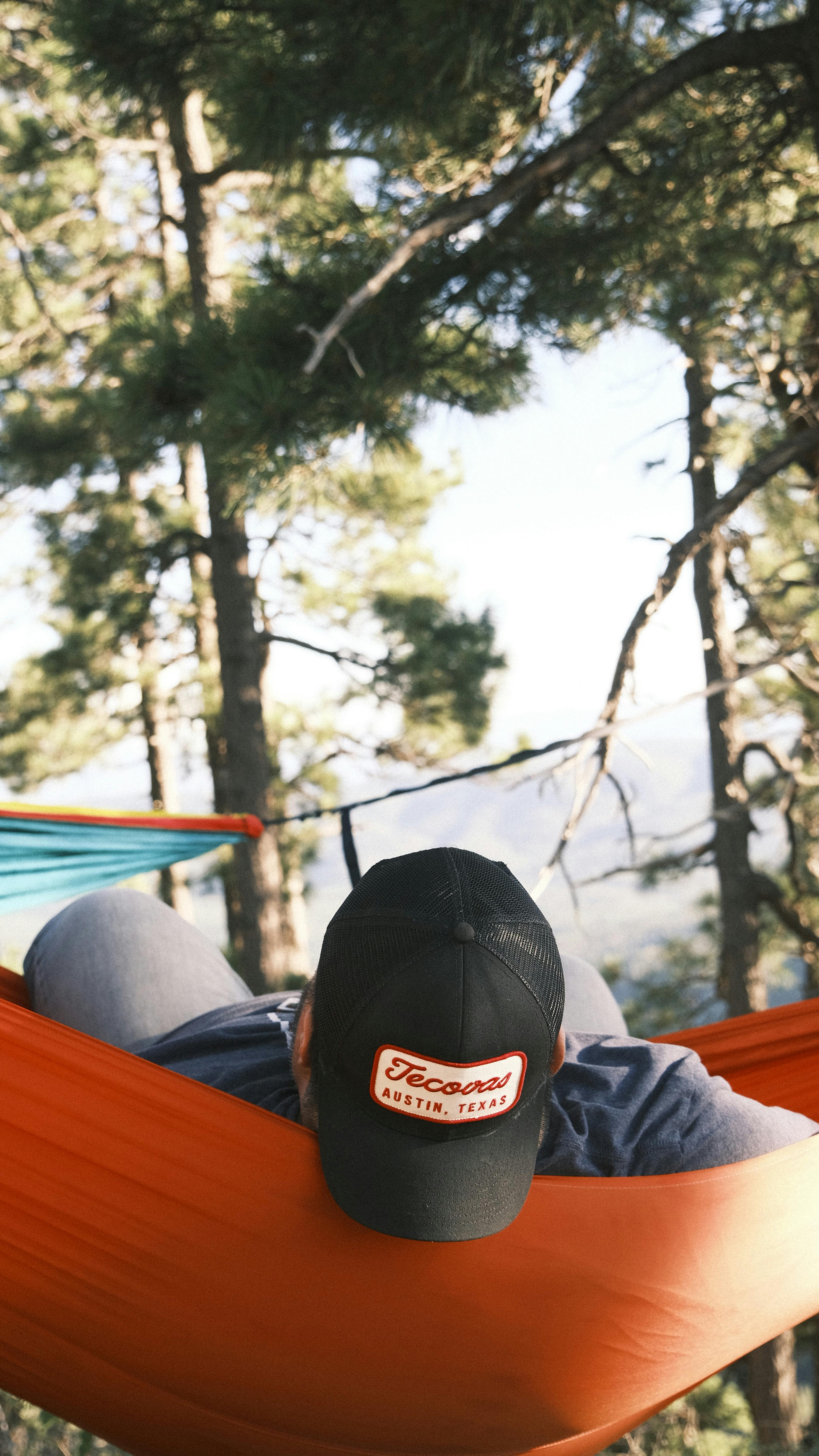 Man relaxing in a hammock in a pine forest, wearing a cap. Tranquil, outdoor escape.