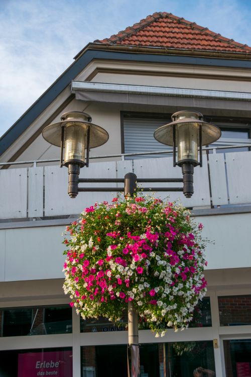Free Street lamp with vibrant pink and white flowers in front of a building facade. Stock Photo