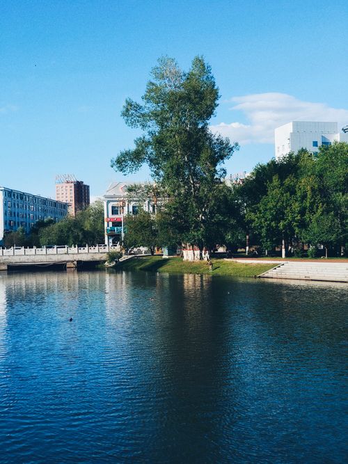 Free A serene urban park with a calm pond surrounded by trees and modern buildings under a blue sky. Stock Photo