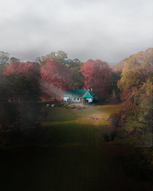 Photographie Aérienne De La Maison Verte Et Blanche Près Des Arbres