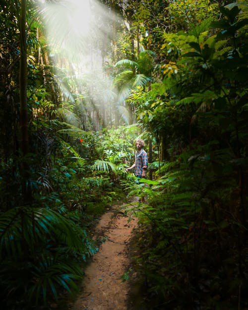 Foto De Hombre De Pie En El Bosque