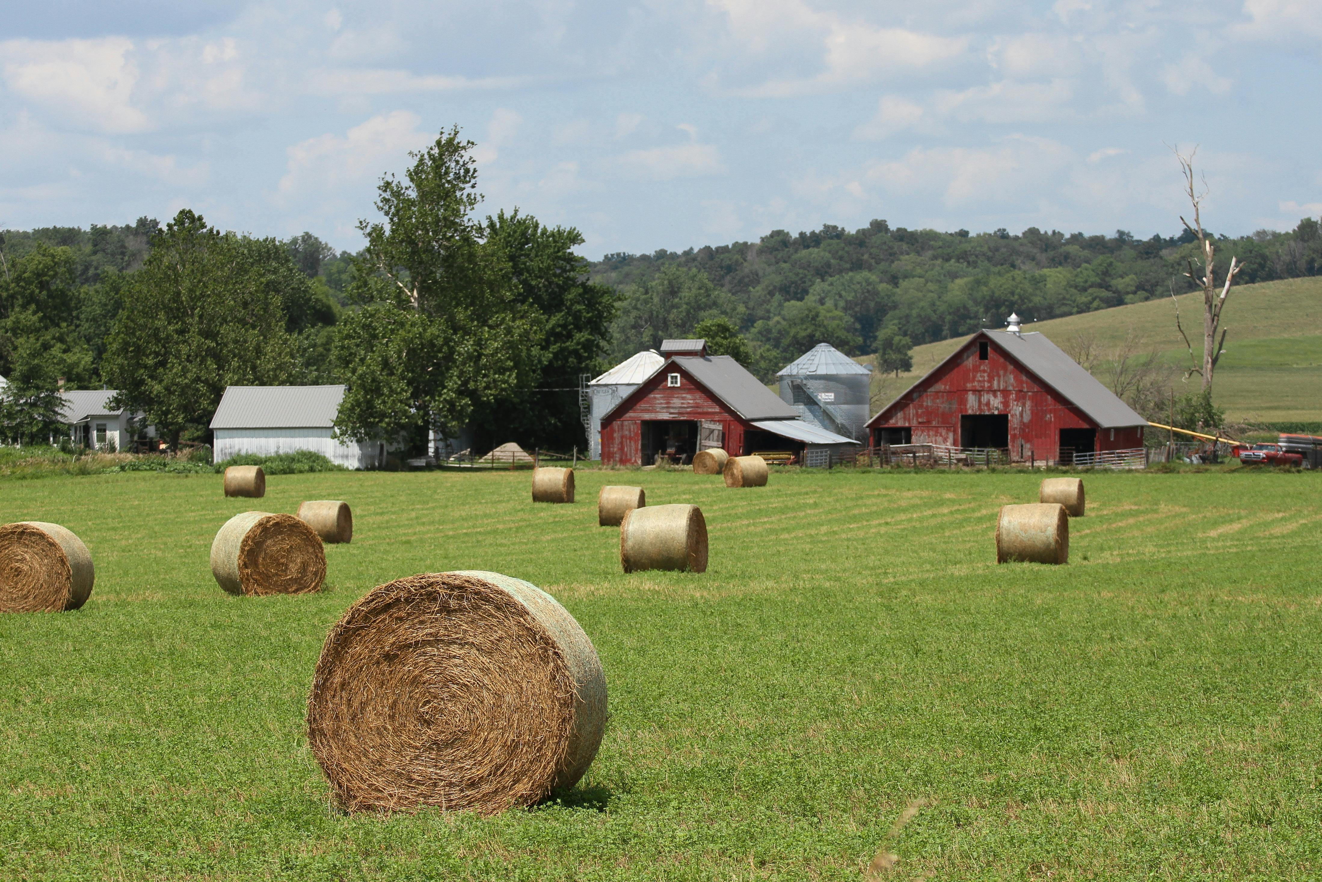 Agile tactics in Project Management