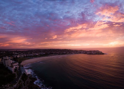 Photo Panoramique De La Plage De Bondi