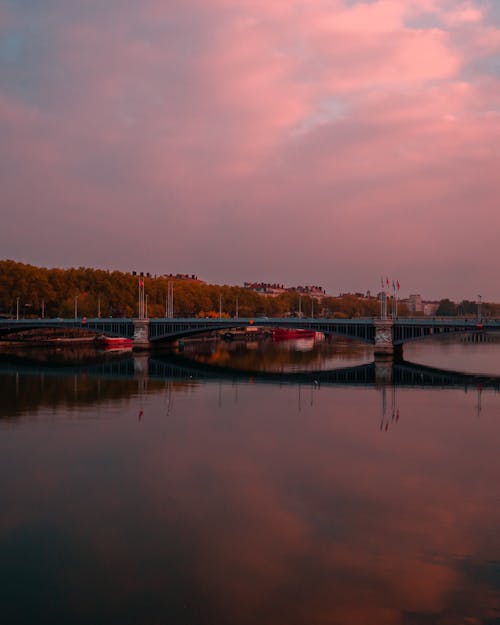 Free stock photo of bridge, france, lyon