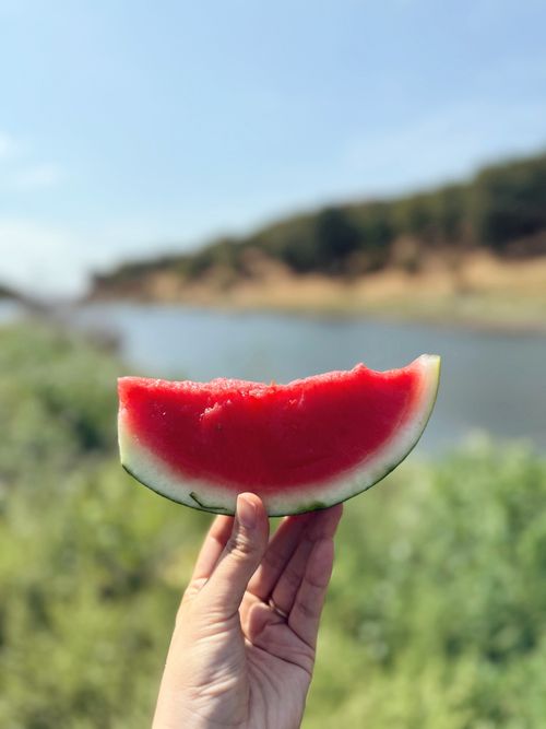 Free Refreshing watermelon slice held by a lake, evoking summer vibes. Stock Photo