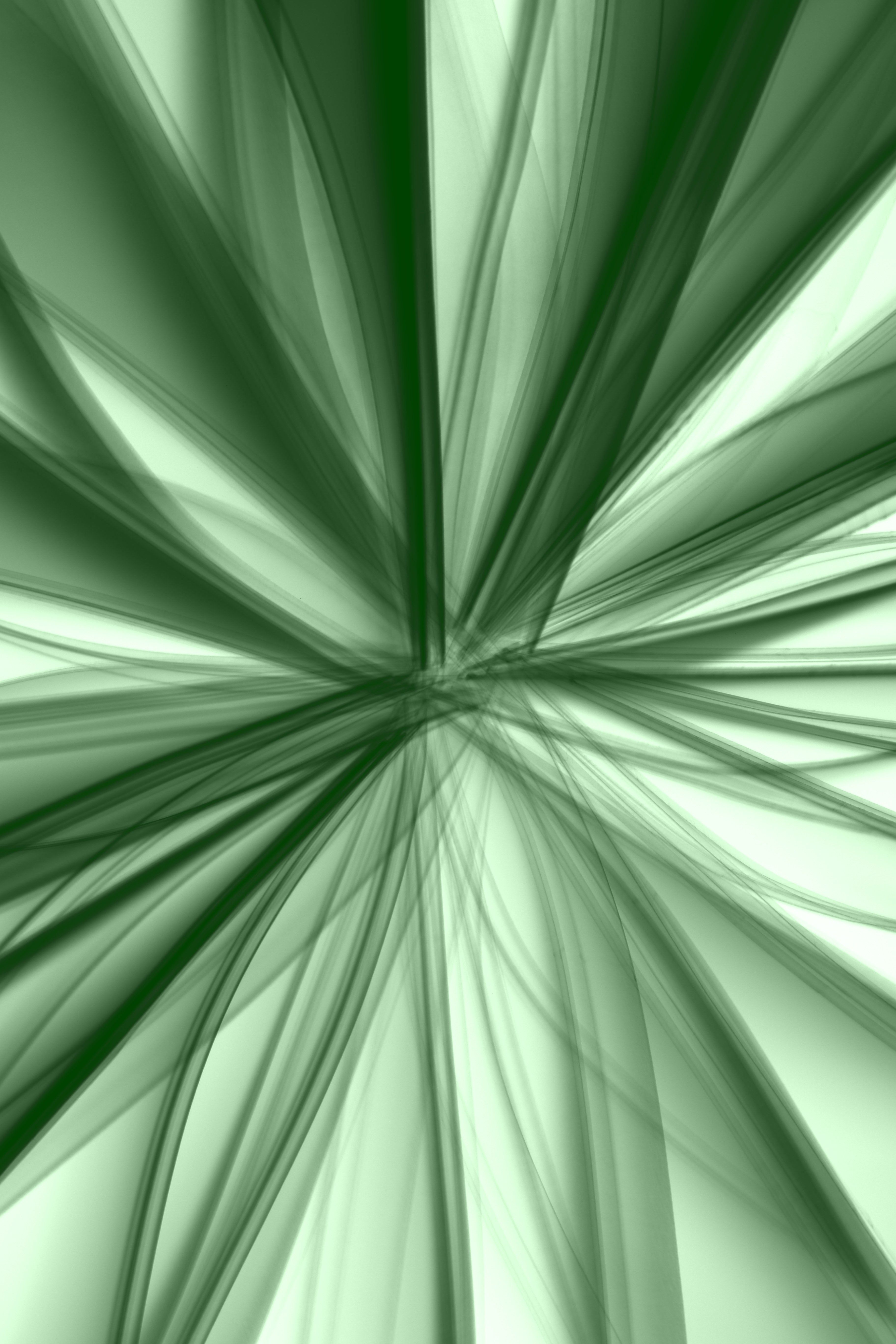 Dynamic green fractal art image with flowing lines and abstract patterns, ideal for backgrounds.