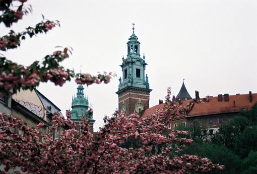 Wawel Castle and Cathedral morning — Krakow
