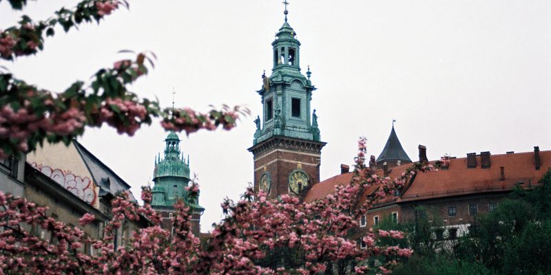 El castillo de Wawel con los cerezos en flor