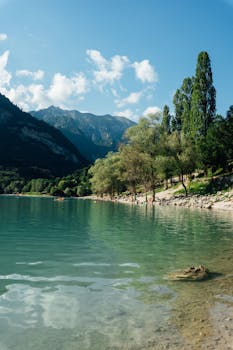 Peaceful alpine lake surrounded by trees and mountains under a bright blue sky.