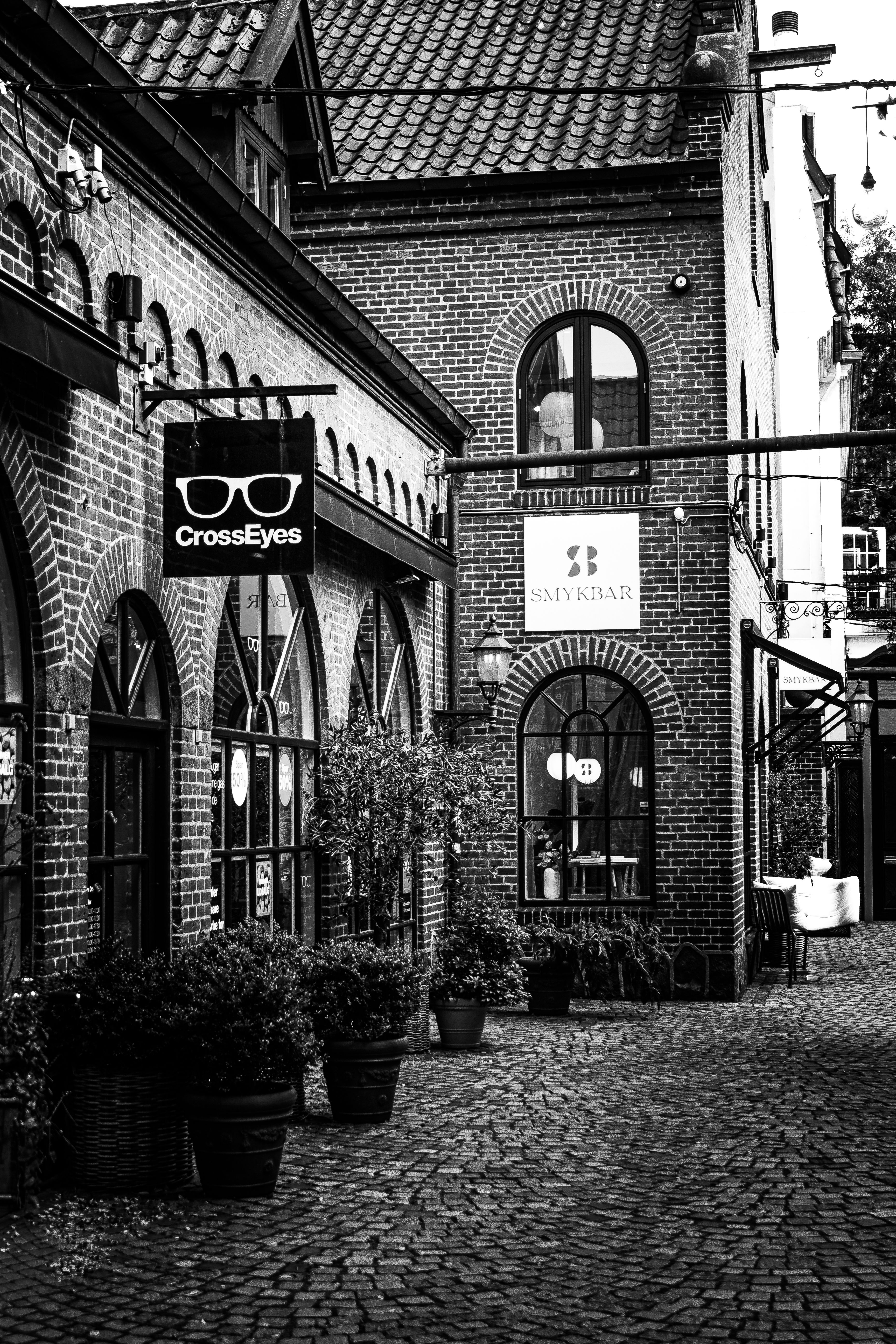 Explore the quiet charm of Odense with this black and white image of a cobblestone alley and classic architecture.