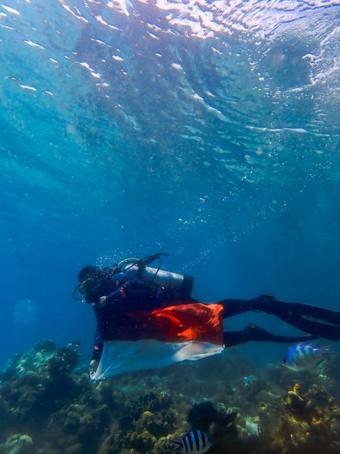 Underwater Adventures: Diving and Snorkeling in Con Dao Underwater Adventures: Diving and Snorkeling in Con Dao
