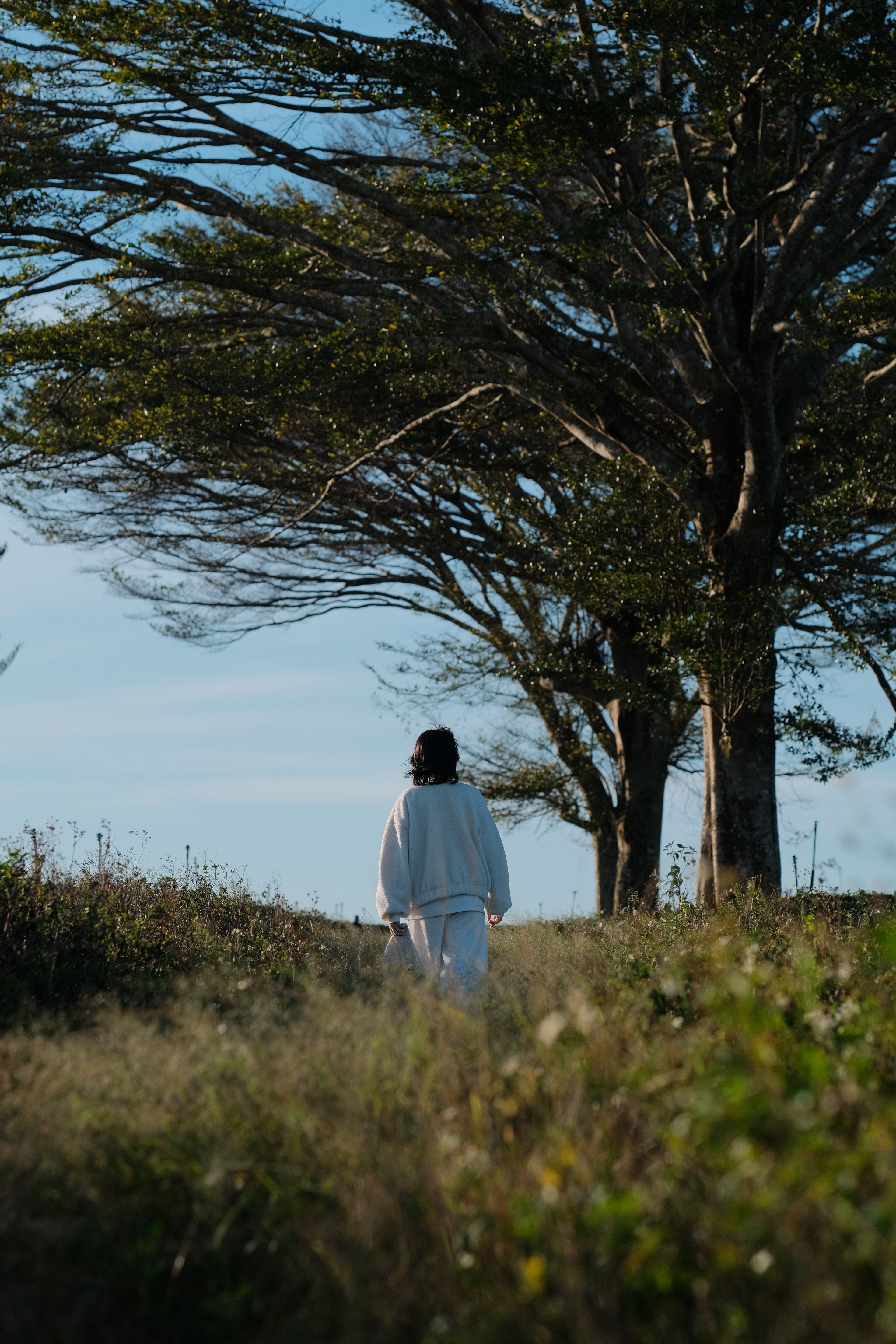 A person walking through a peaceful outdoor setting near a large tree under clear skies