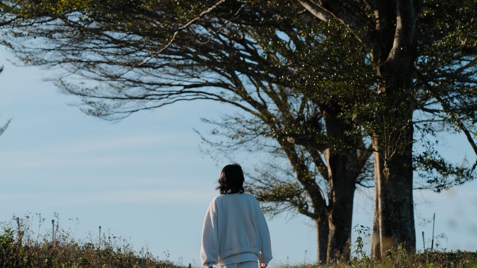 A person walking through a peaceful outdoor setting near a large tree under clear skies