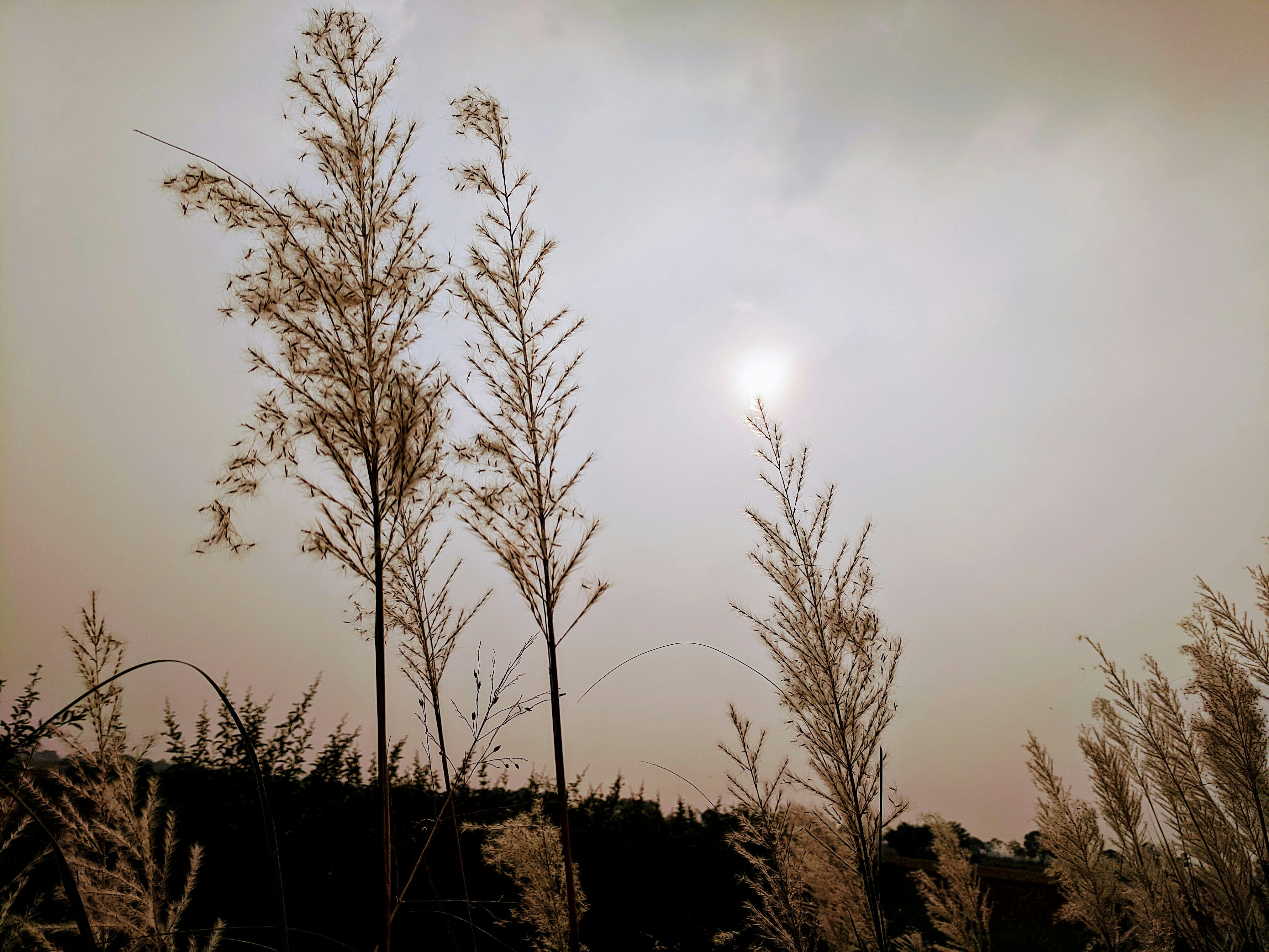 Case study success graph showing traffic and revenue growth