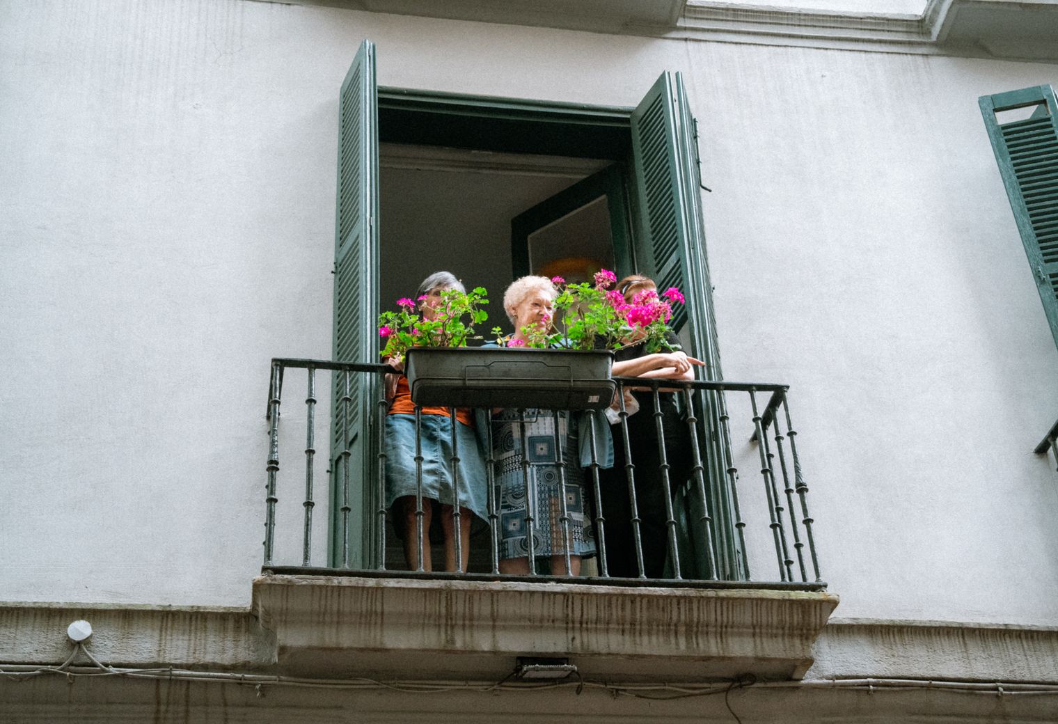 Guildford — professional movers carrying furniture on a house move