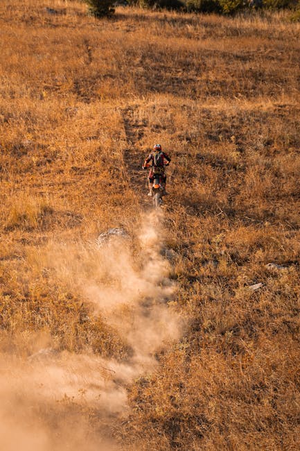 The Thrill of Discovery and Connection The Thrill of Discovery and Connection