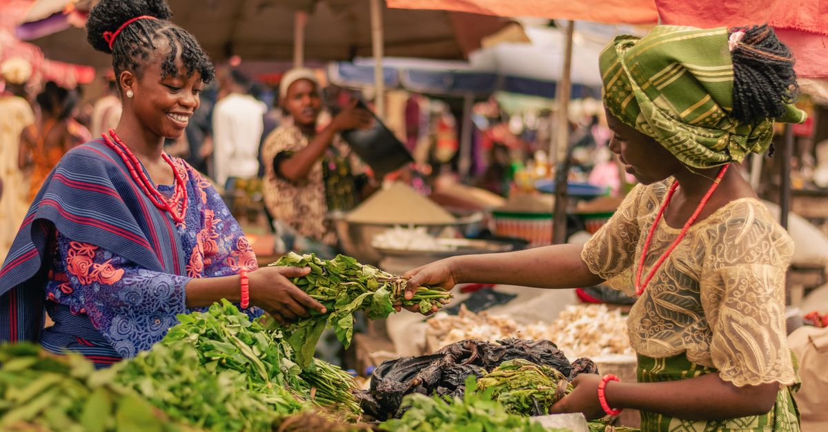 Zambia: qué estrategias fortalecen agricultura y agroindustria para exportar más Zambia: qué estrategias fortalecen agricultura y agroindustria para exportar más