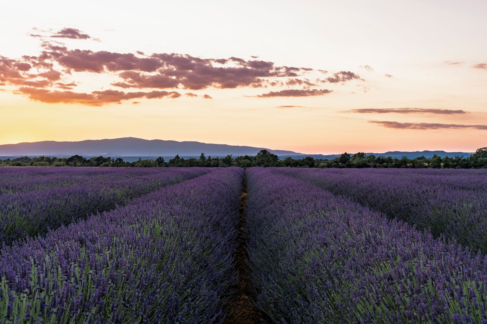 Provence, France