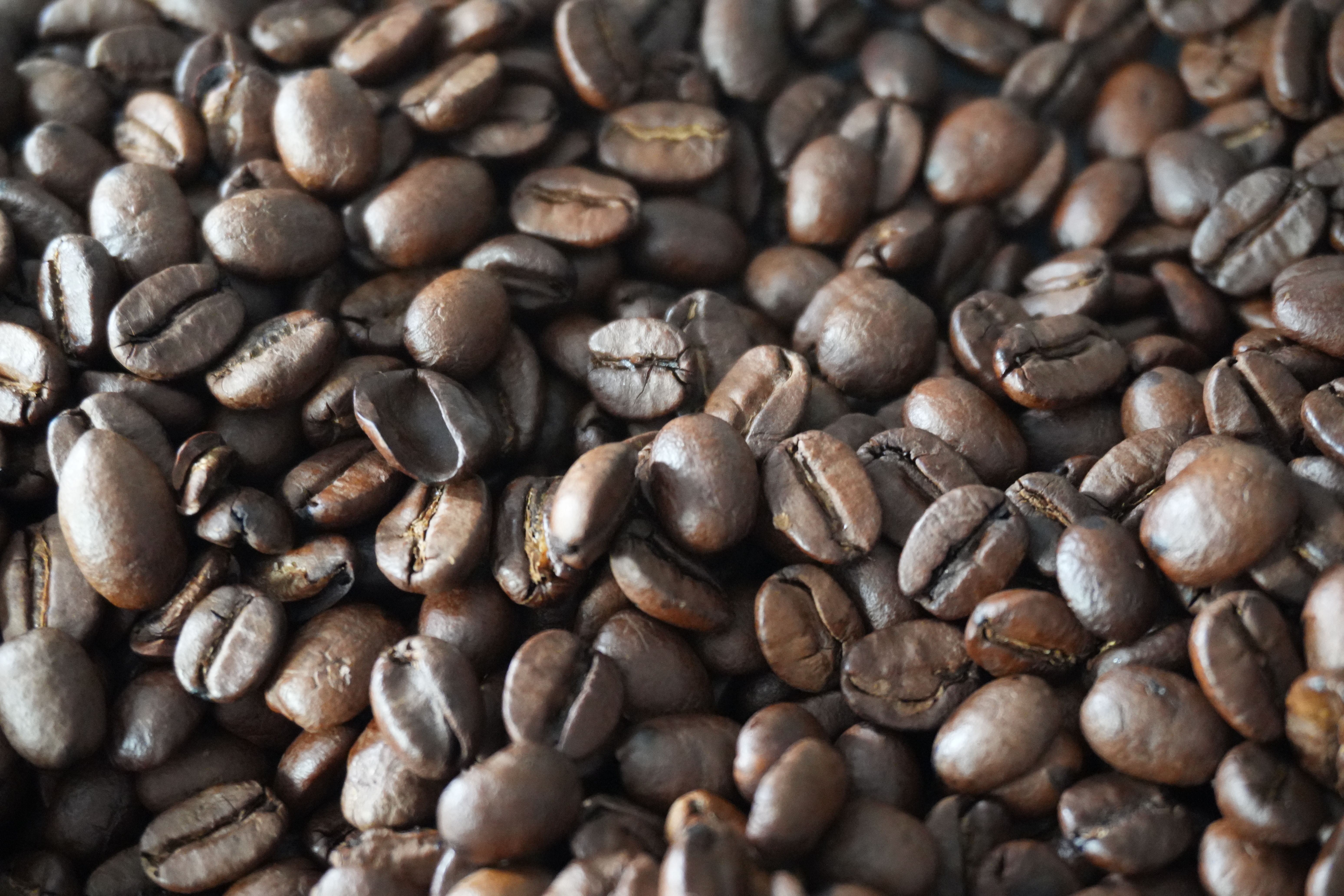 A detailed image showcasing freshly roasted coffee beans with a rich, dark appearance, ideal for coffee enthusiasts.