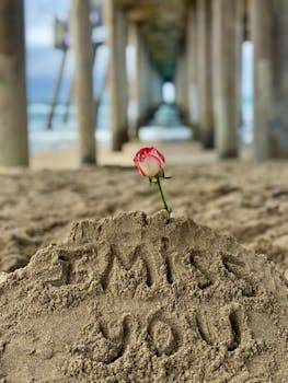 A single rose with 'I miss you' written in sand under Huntington Beach Pier, California.