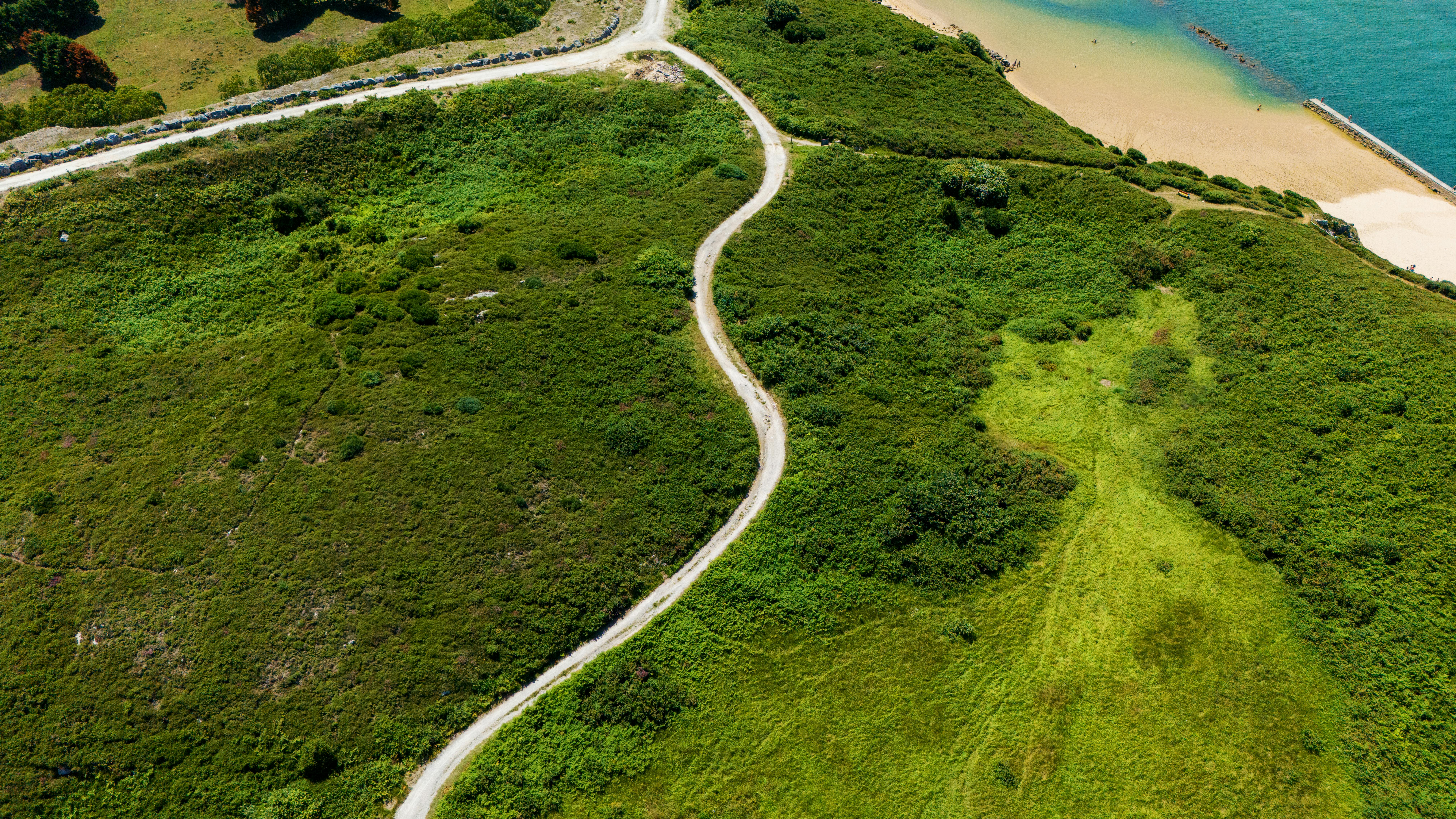 Healthspan White Paper: The Data-Driven Path to Longevity — Photo by Frederick Adegoke Snr. on Pexels