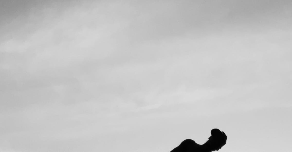 國際少年運動會新北隊橫掃29面獎牌 創隊史最佳紀錄