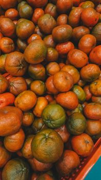 A vibrant collection of fresh mandarins in a crate, showcasing their rich, textured skins.