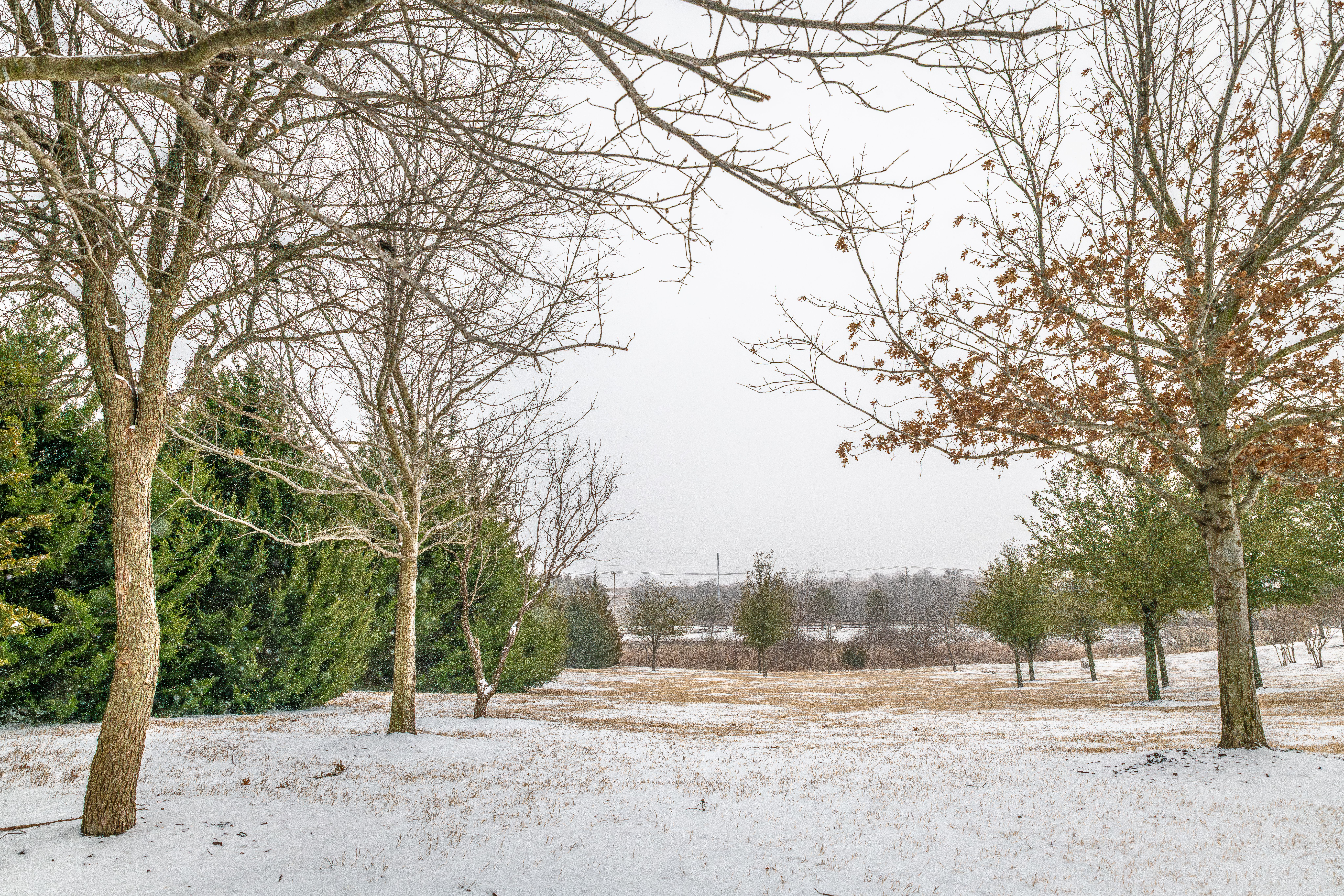 Fun Facts Worth Knowing from Culture History — Photo by Ryan  Stephens on Pexels