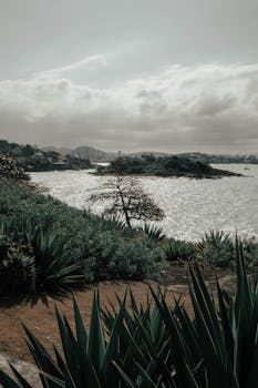 Photo by Matheus Amaral Beautiful coastal landscape of Espírito Santo, Brazil showcasing lush greenery and serene waters.