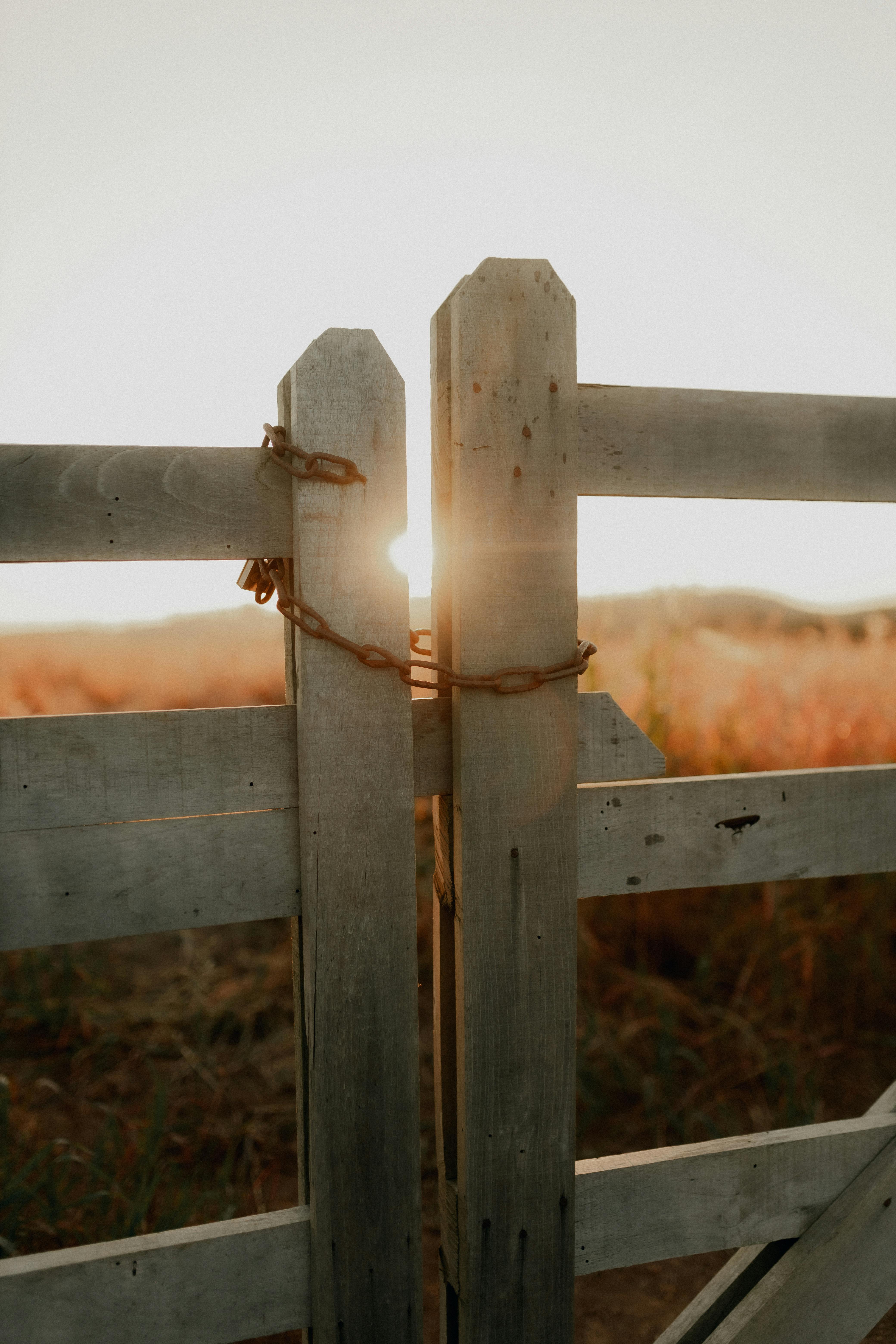 Winding country road leading through lush green fields with wooden fence in  black and white 65342126 Stock Photo at Vecteezy, image size:4160x6240