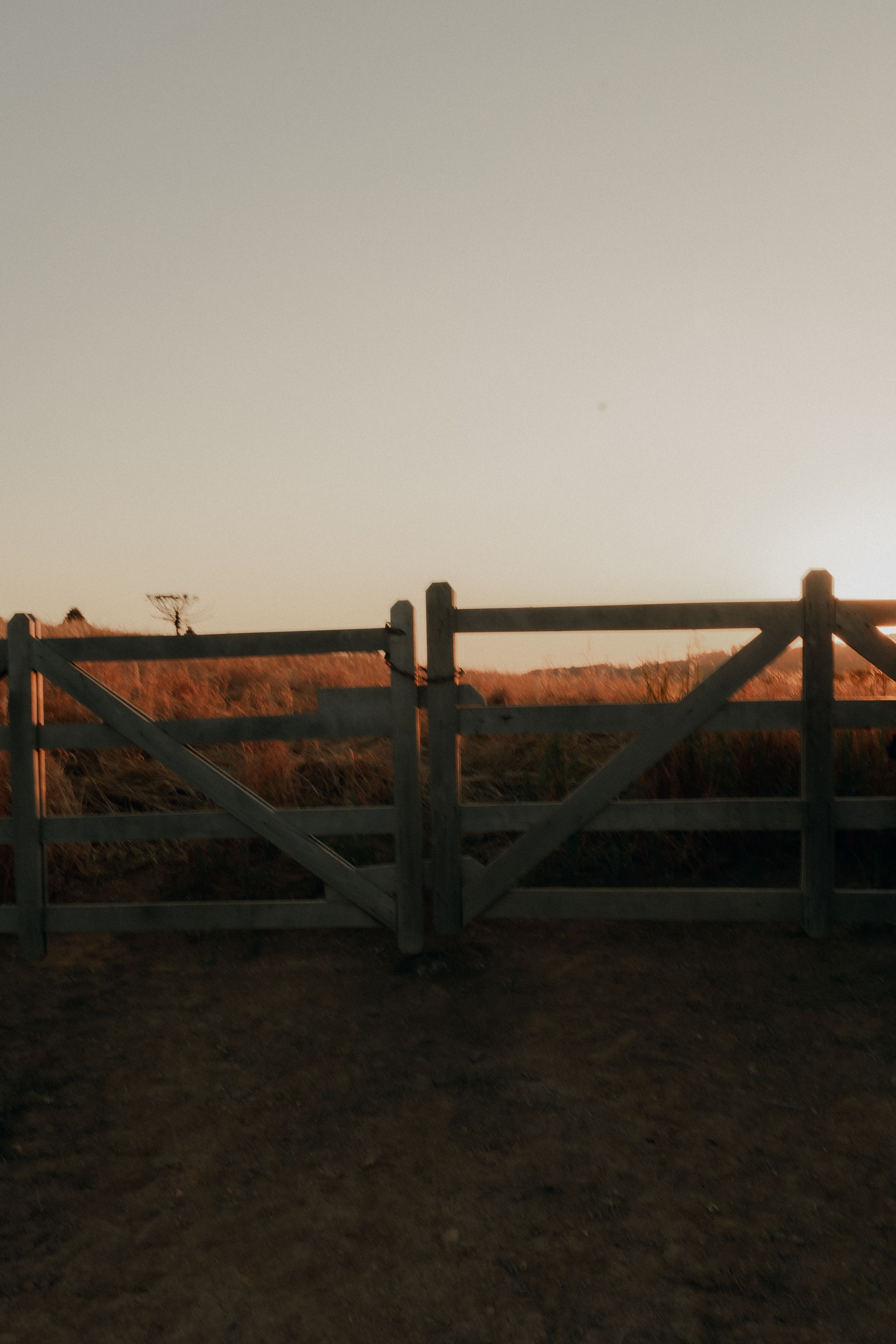 Wooden Fence on a Field in Sunlight · Free Stock Photo