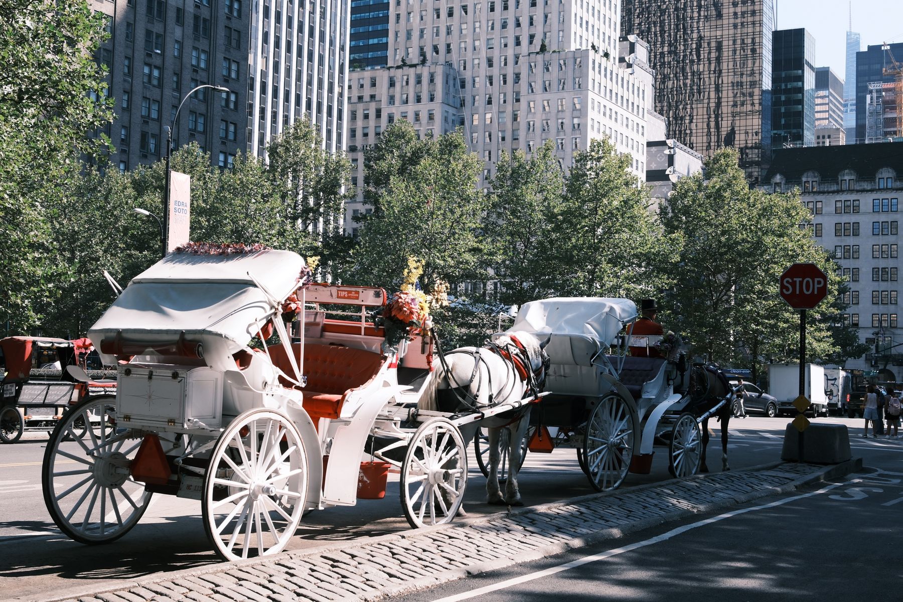 Horse-drawn carriages waiting at the edge of Central Park beneath the Manhattan skyline