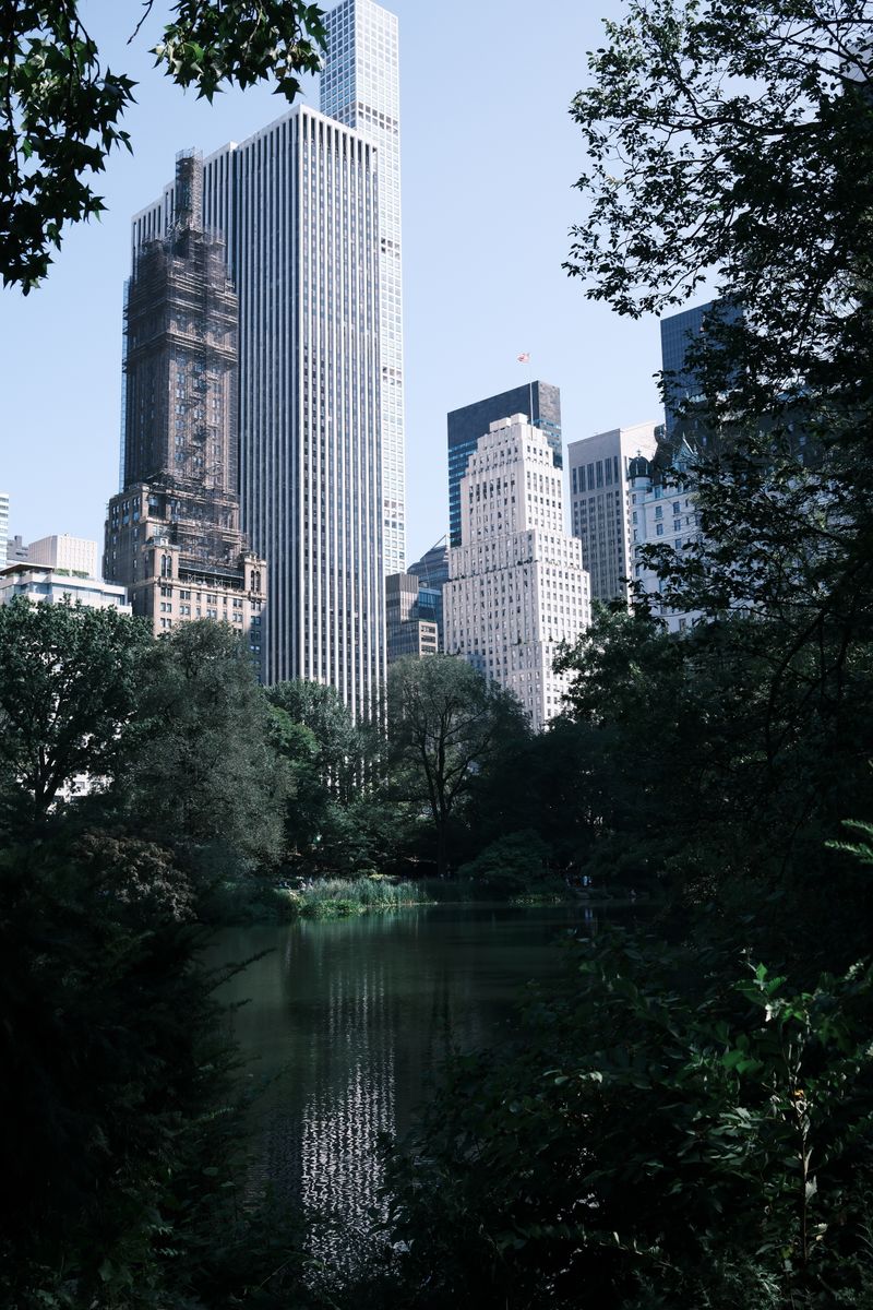 A pond in Central Park framed by trees with Manhattan skyscrapers rising behind
