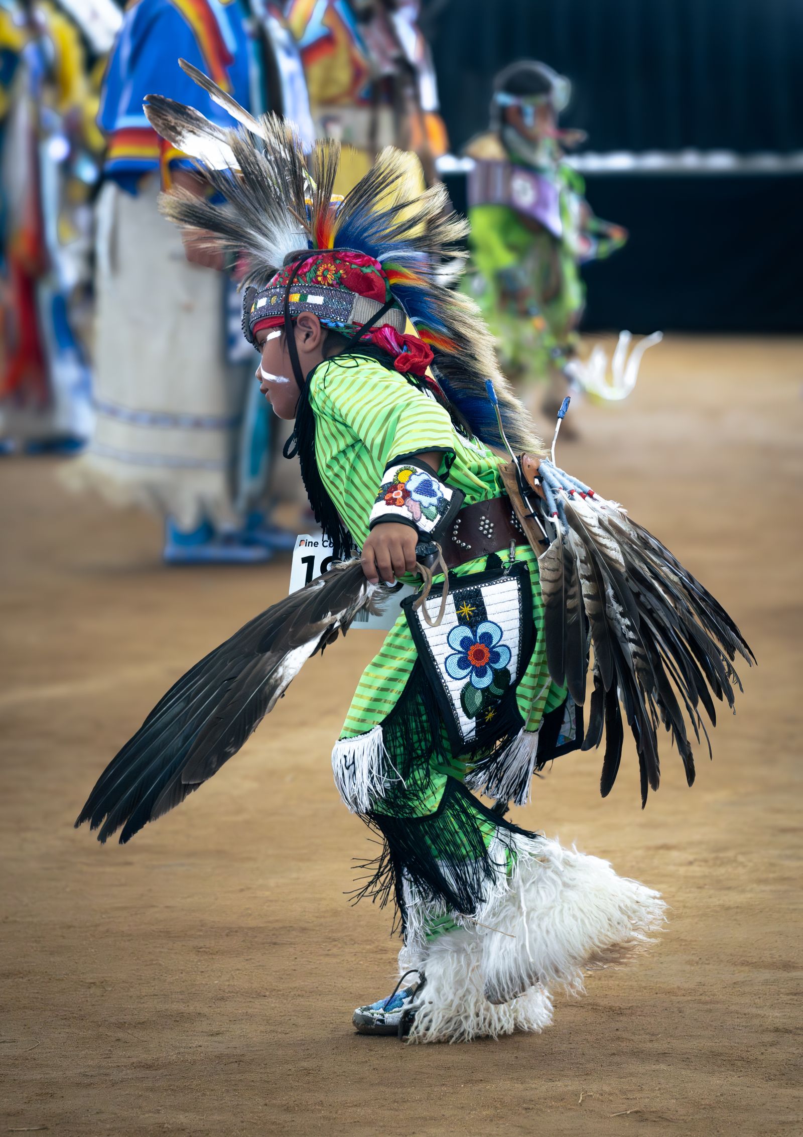 Vibrant Native American Pow Wow Dancer in Traditional Dress · Free ...