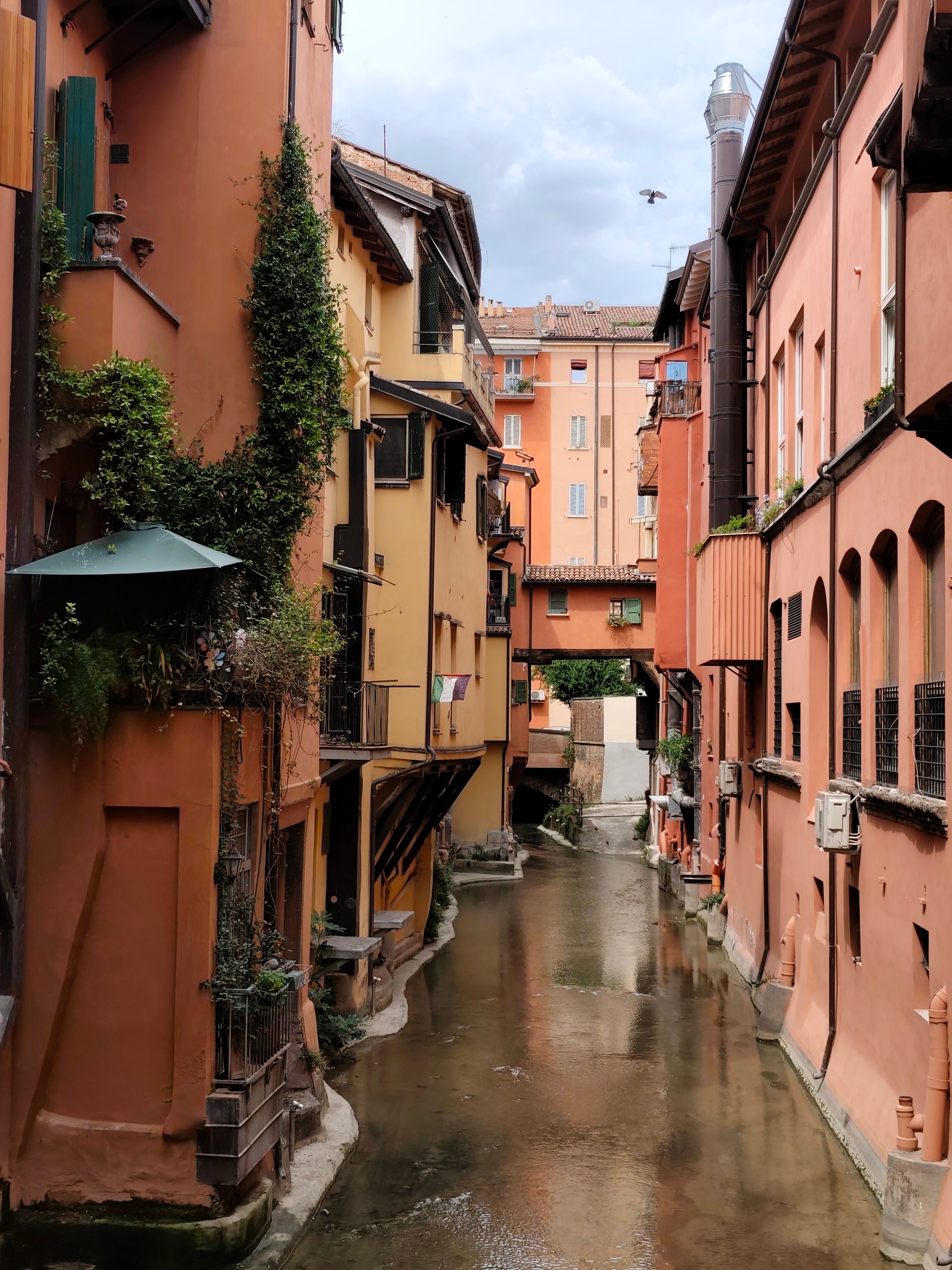 Picturesque view of a serene canal flanked by historic buildings in Bologna, Italy.
