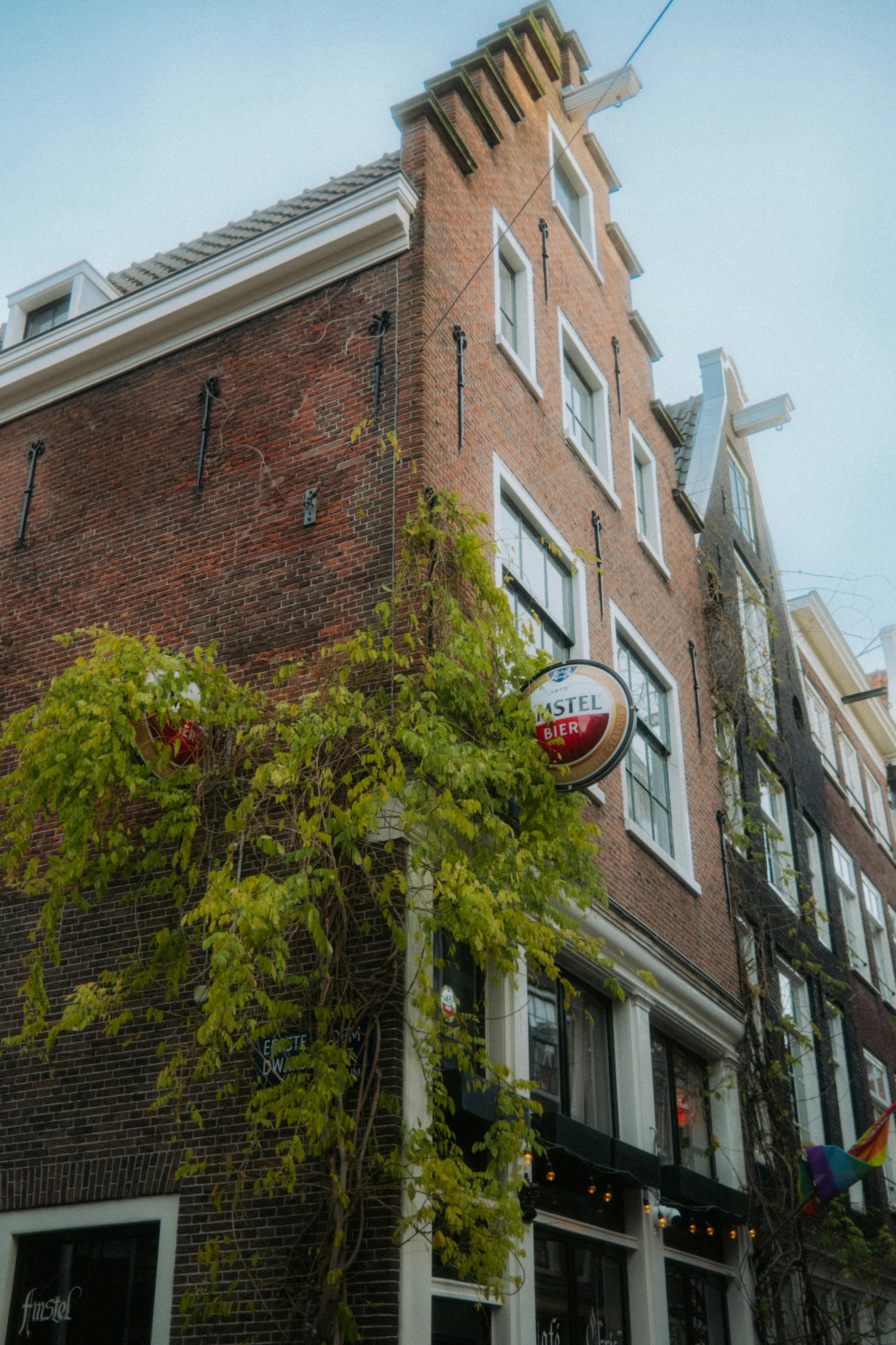 Historic Amsterdam building adorned with vines, showcasing iconic Dutch architecture.