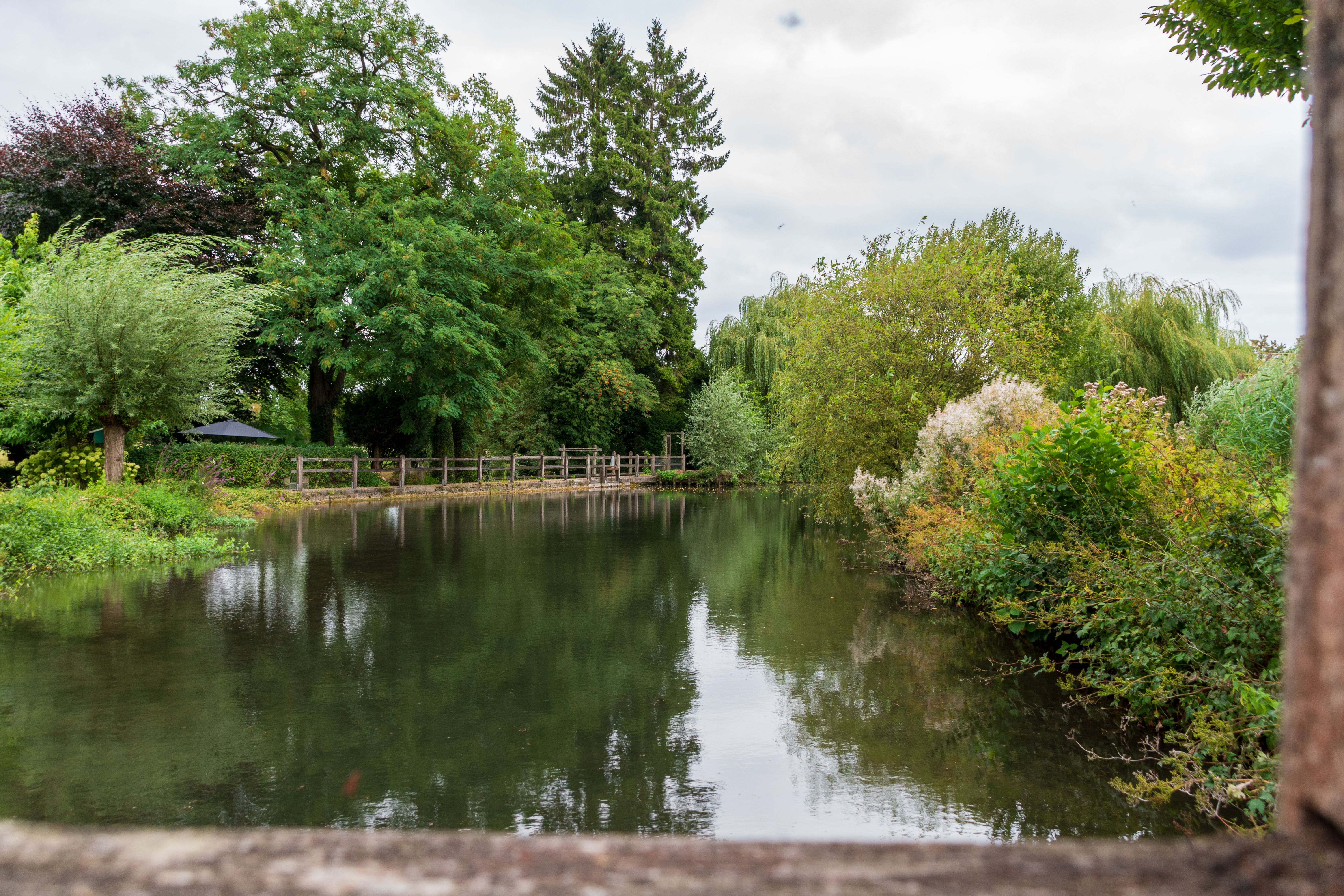 Tranquil view of a river surrounded by lush green trees and plants reflecting in the water.
