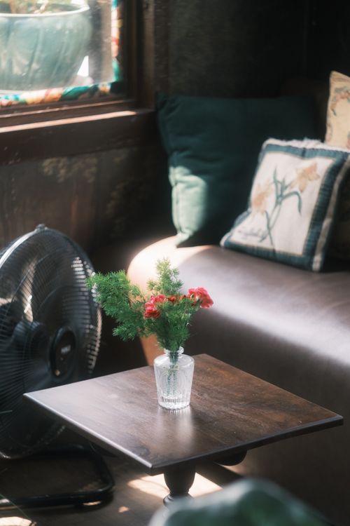 Free A sunlit living room with a wooden table, vase of flowers, and cozy pillows creating a warm atmosphere. Stock Photo