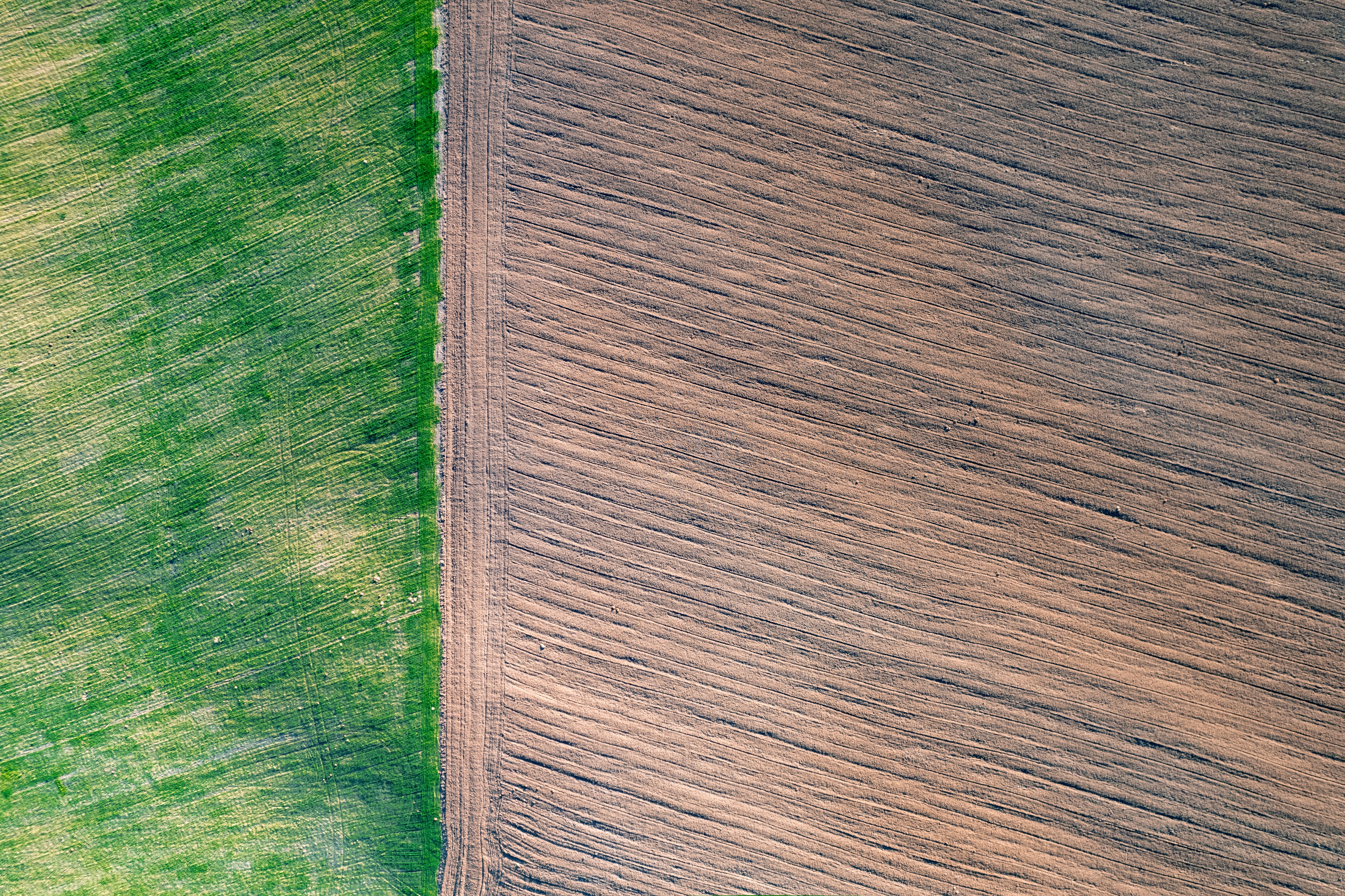Aerial view of contrasting green and brown fields — Neacsu Tudor on Pexels