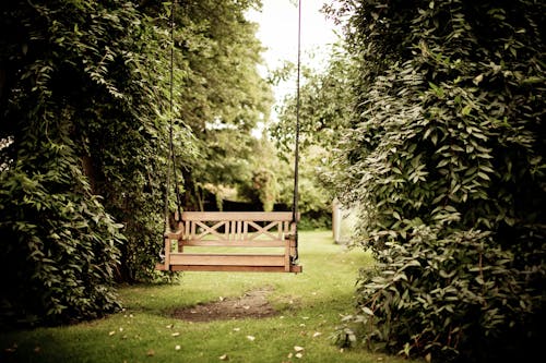 Free Gazebo Against Trees Stock Photo