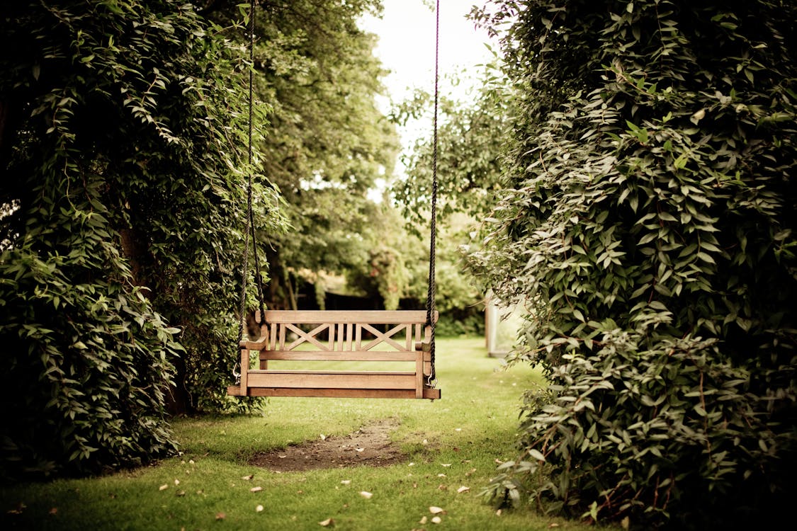 Gazebo Tegen Bomen