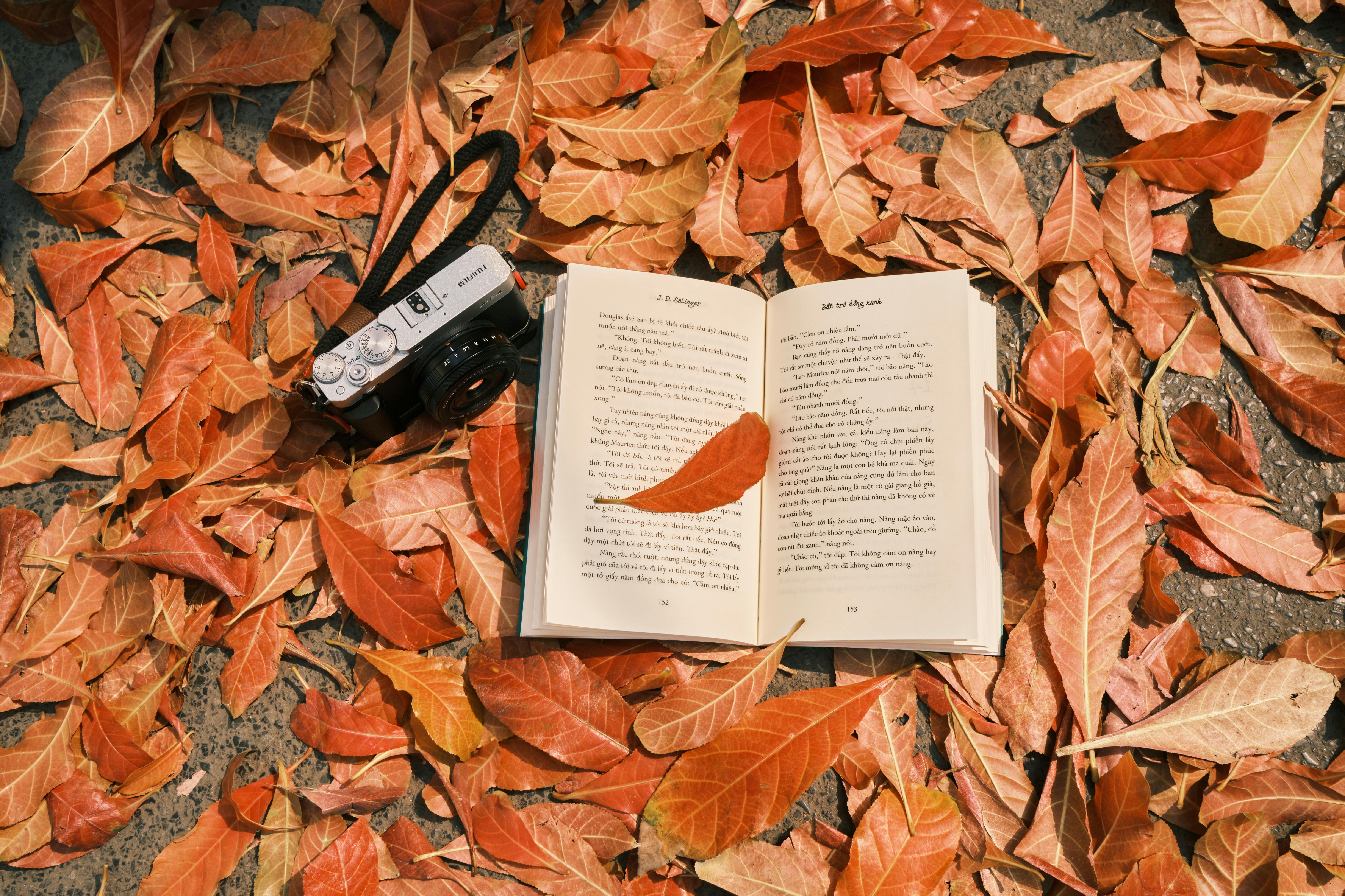 Open book with camera on fallen autumn leaves, evoking a cozy fall reading vibe.